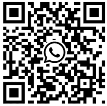 FlyBagz WhatsApp
